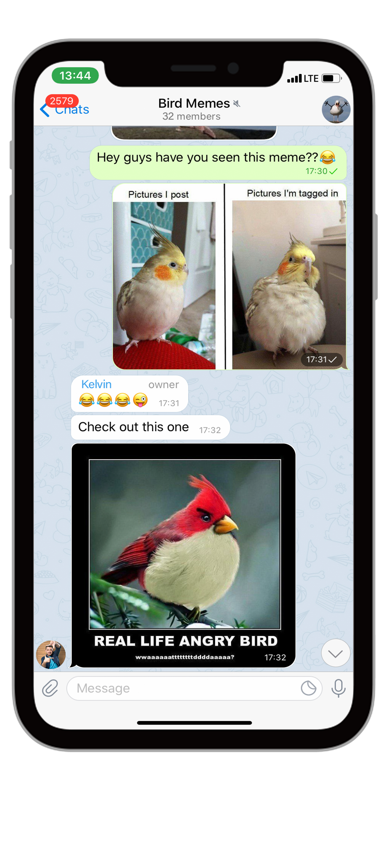 Vidogram for iOS app preview